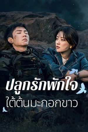 The White Olive Tree EP 19