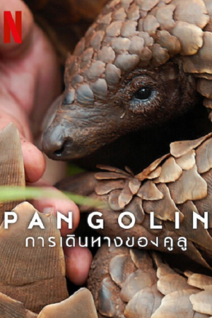 Pangolin Kulu’s Journey (2025) การเดินทางของคูลู