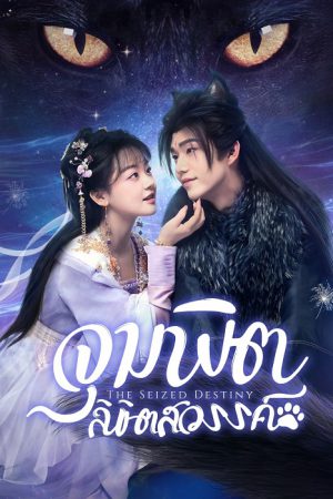 The Seized Destiny (2025) จุมพิตลิขิตสวรรค์